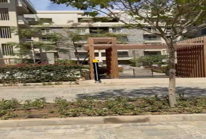 7963119 - صورة العقار 3