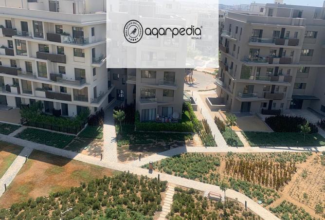 8151143 - Property Image 3