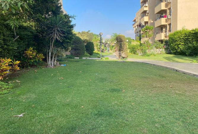 7983784 - Property Main Image