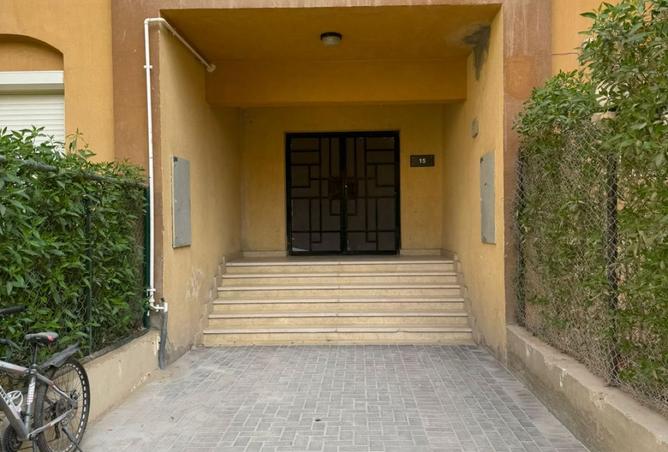8081084 - Property Image 3