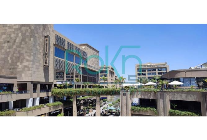 7887178 - Property Image 3