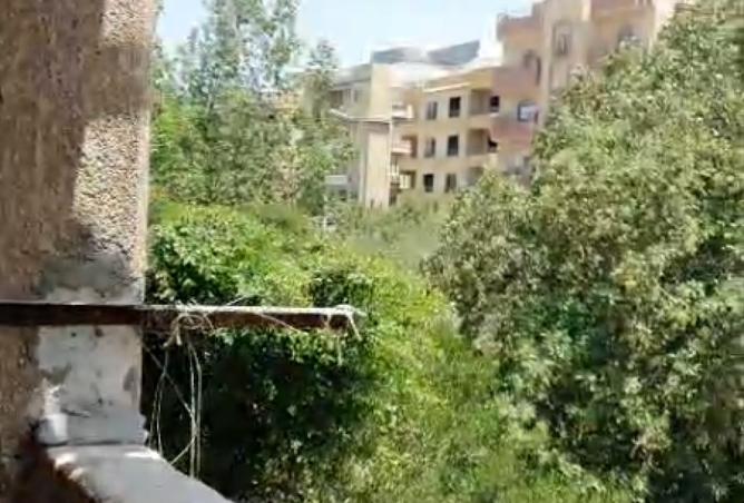 8135137 - الصورة الرئيسية للعقار