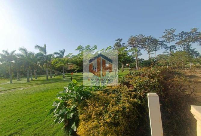 8276868 - Property Image 3