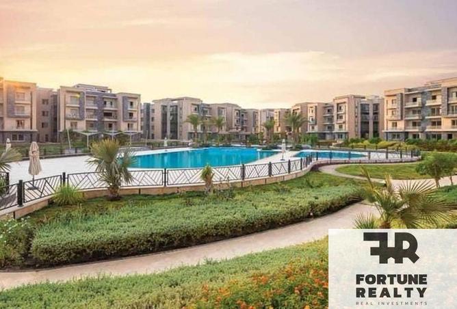 8536384 - Property Image 3