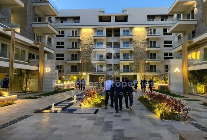 8203447 - Property Image 3