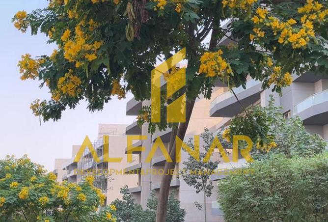 8492698 - Property Image 2