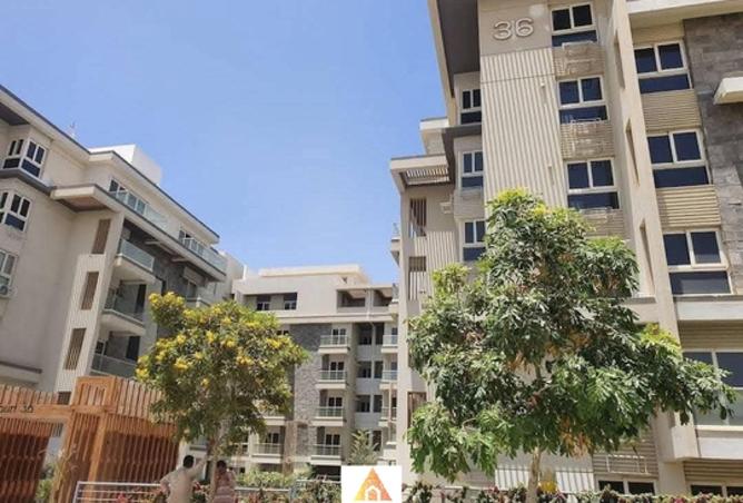 7913334 - صورة العقار 3