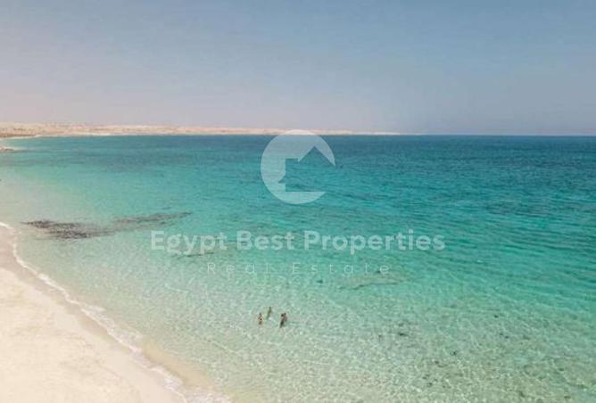 8196993 - صورة العقار 2