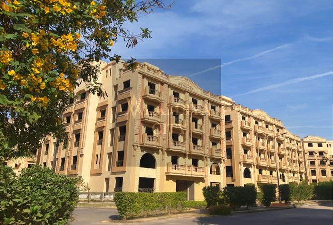 8007494 - صورة العقار 2