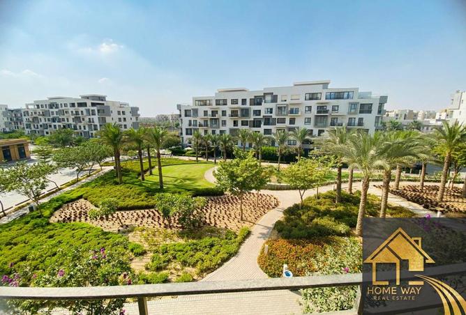 8282029 - Property Image 3