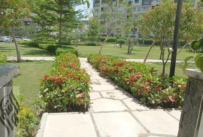 8300040 - صورة العقار 3