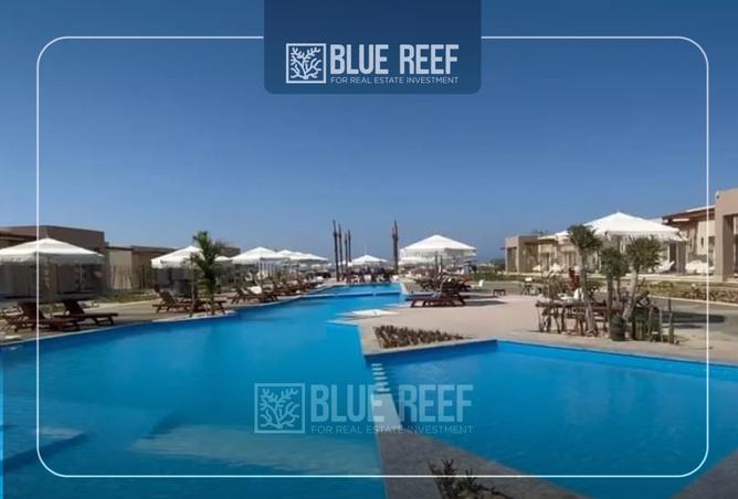 8458468 - صورة العقار 3