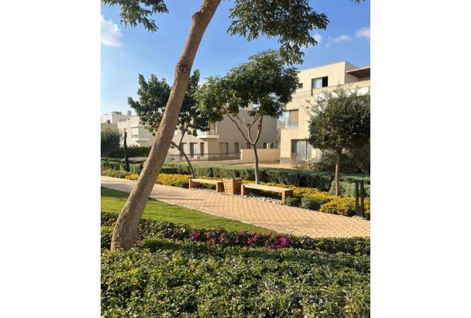 8417018 - Property Image 3