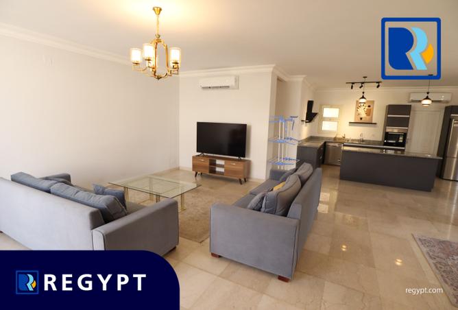 7967475 - Property Image 3