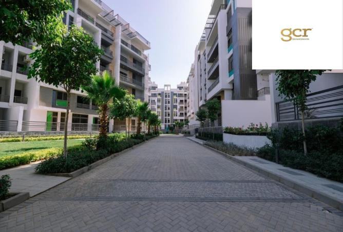 8491693 - Property Image 3