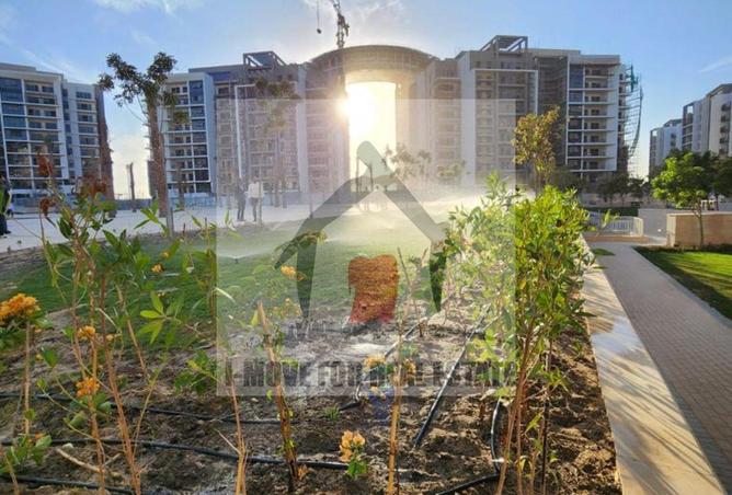 8116390 - Property Image 3
