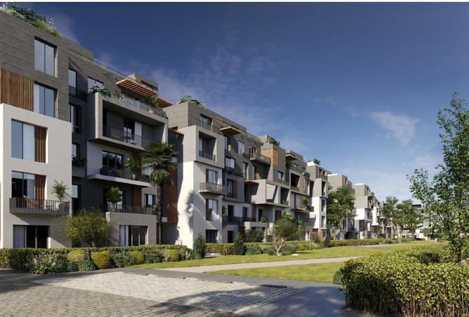 7994433 - Property Image 2