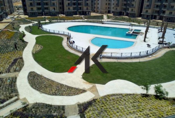 8033009 - Property Image 2