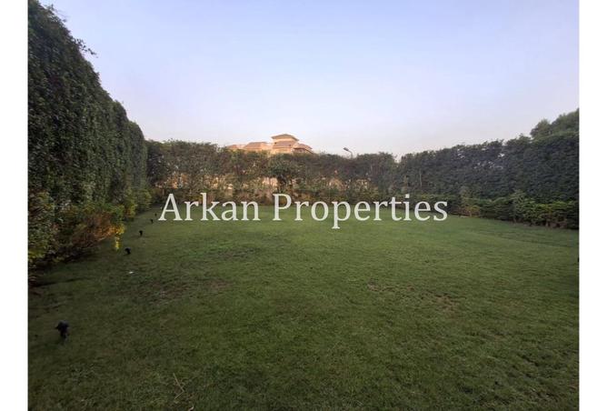 8011346 - صورة العقار 3