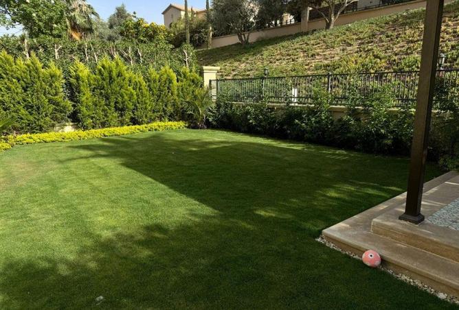 8165364 - صورة العقار 3