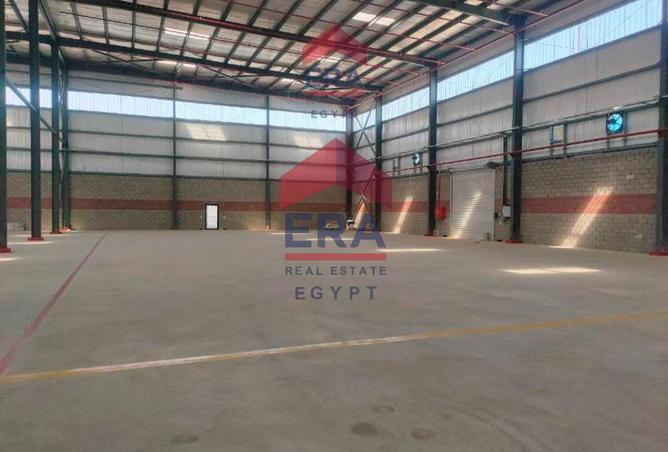 8095888 - صورة العقار 3