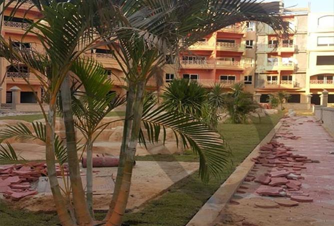 8258085 - Property Image 2