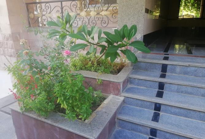 8414800 - صورة العقار 2