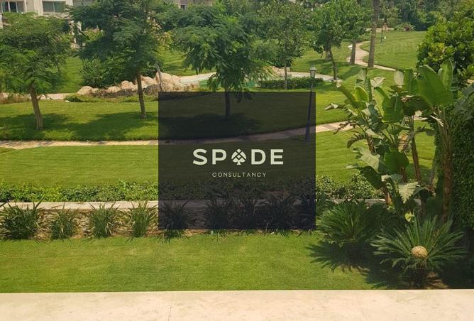8132499 - Property Image 2