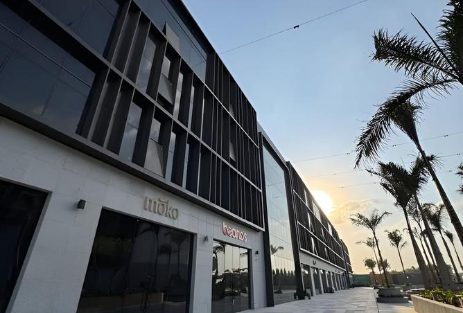 8472191 - صورة العقار 2