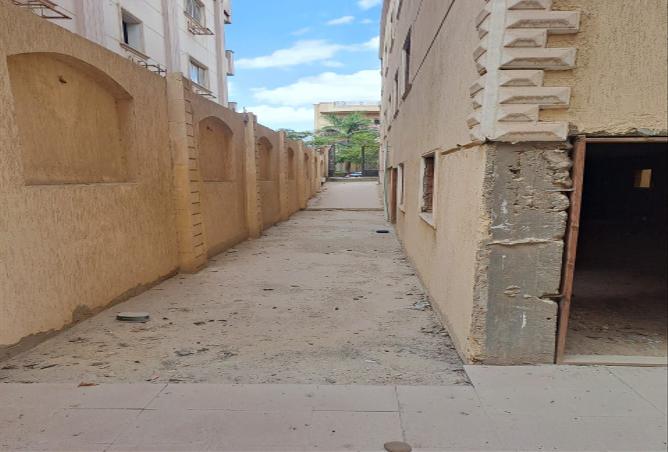 7994317 - Property Image 3