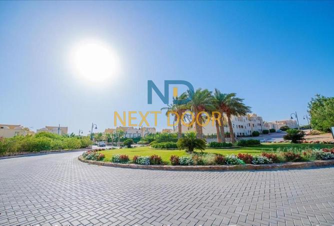 7904899 - صورة العقار 3