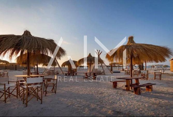 8178547 - Property Image 3