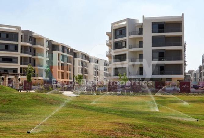 8458415 - صورة العقار 2