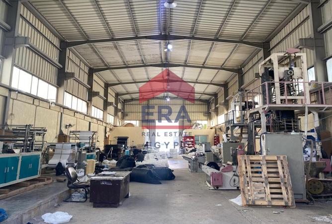 8195619 - صورة العقار 2