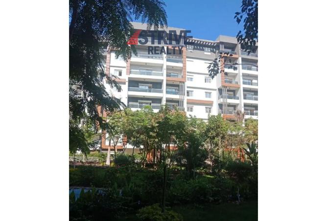 8279156 - الصورة الرئيسية للعقار