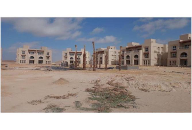 8471912 - Property Image 3