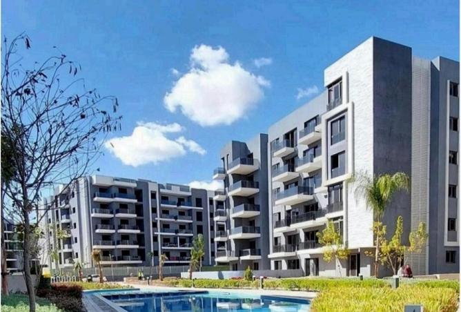 8184878 - Property Image 2