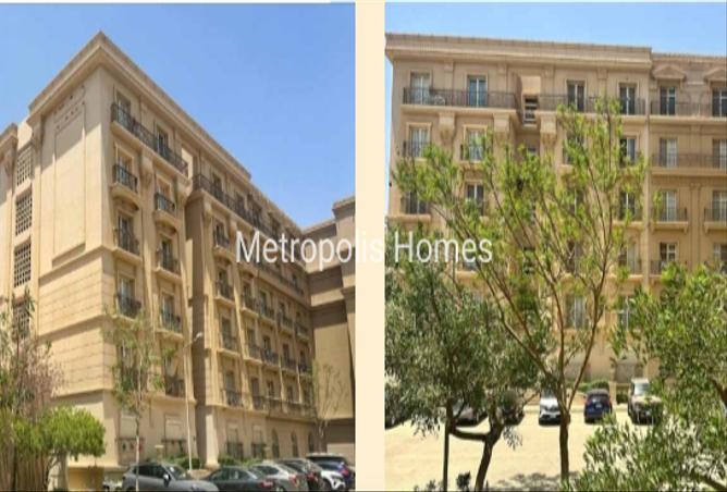 8101022 - Property Image 3