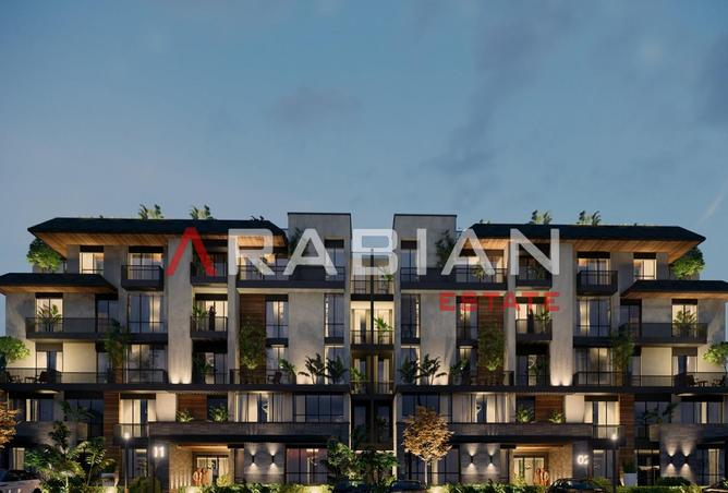 8451937 - Property Image 3