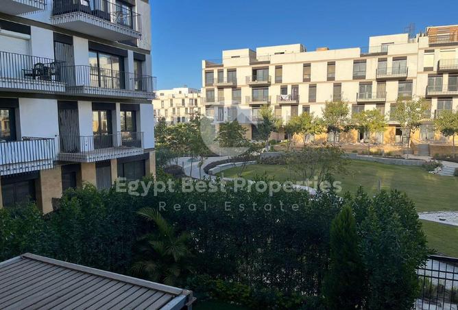 8216877 - Property Image 3