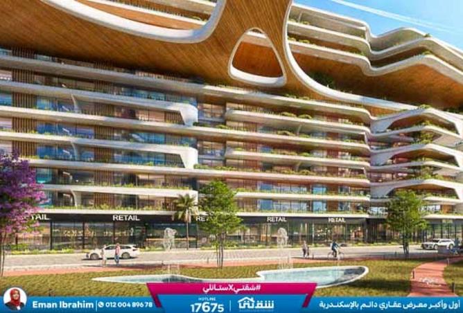 8264876 - Property Image 2