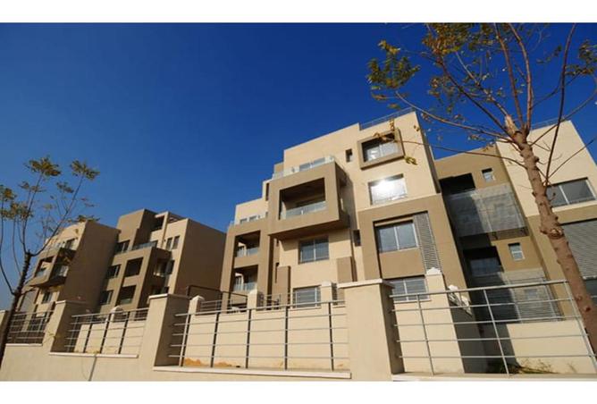 7989153 - Property Image 3