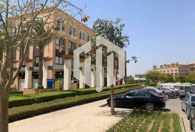 8198062 - Property Main Image