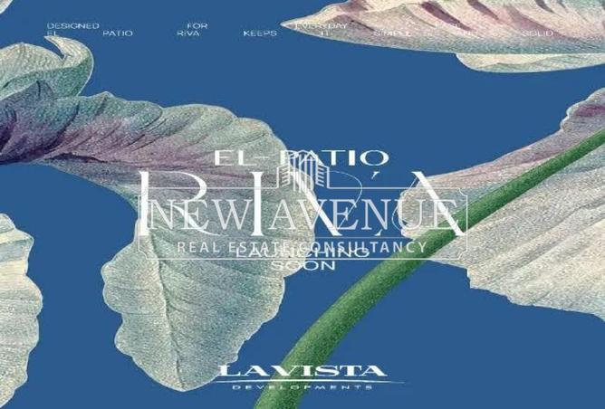 8318234 - Property Image 3