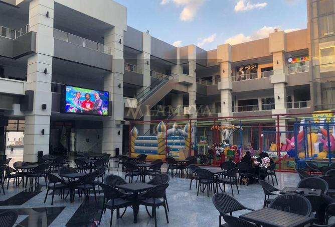 8381431 - Property Image 3