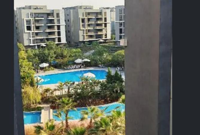 8442503 - Property Image 3