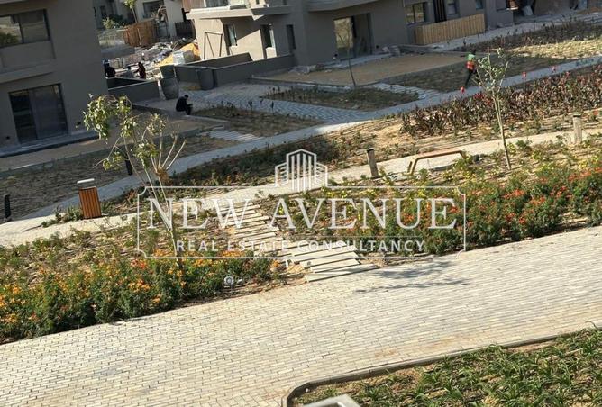 8118865 - Property Image 3
