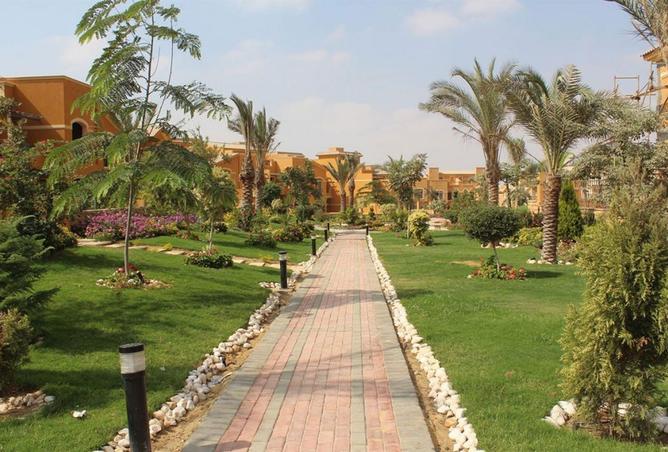 8036022 - صورة العقار 2