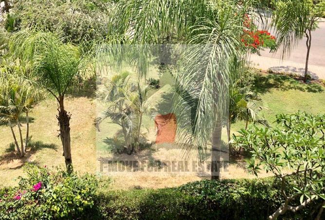 8087576 - Property Image 3