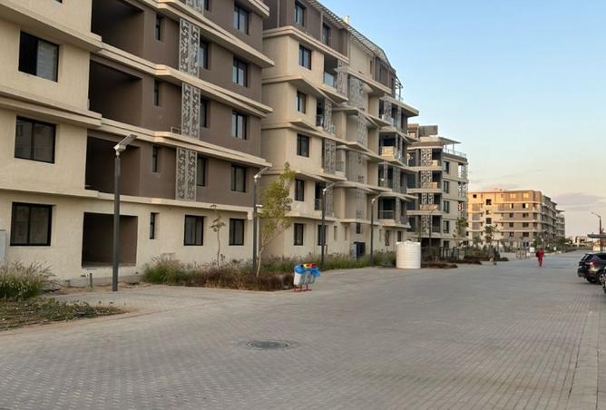 8161149 - Property Image 3